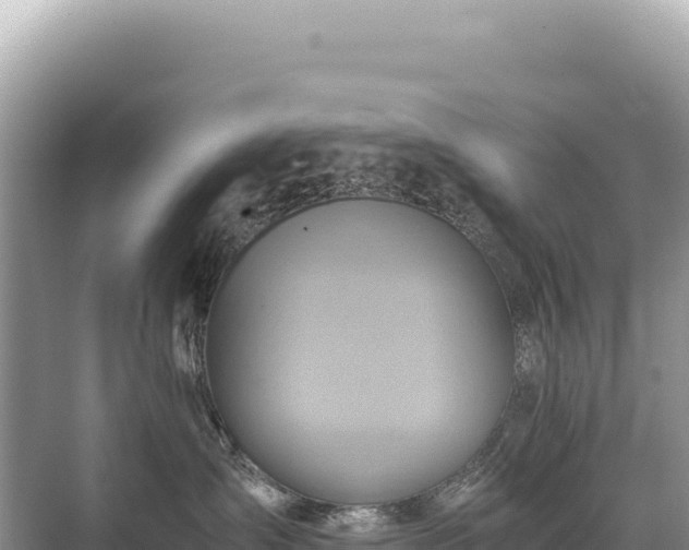 X0000071380431200606301815