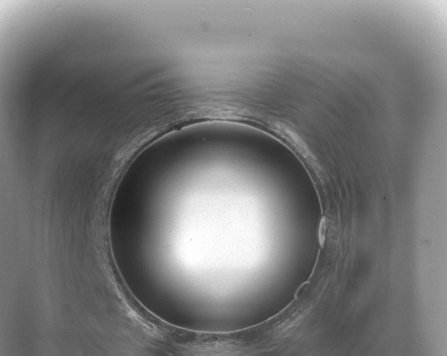 X0000071380433200606301814