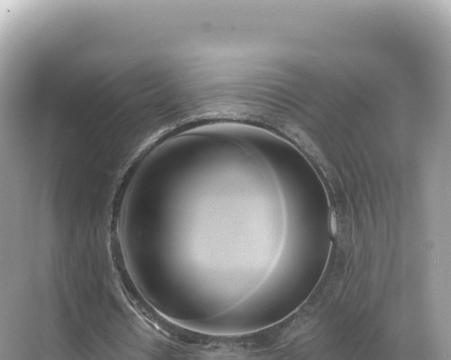 X0000071380434200606301814