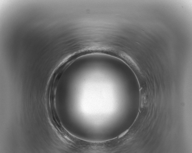 X0000071380436200606301814