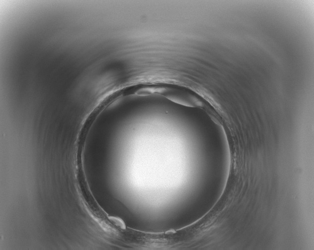 X0000071380438200606301814