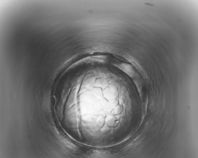 X0000071380442200606301814