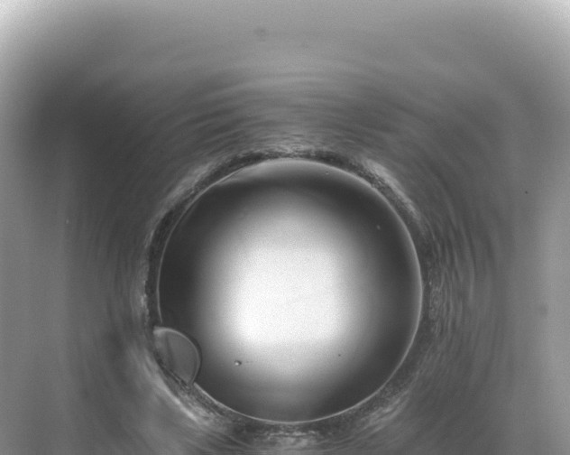 X0000071380443200606301814