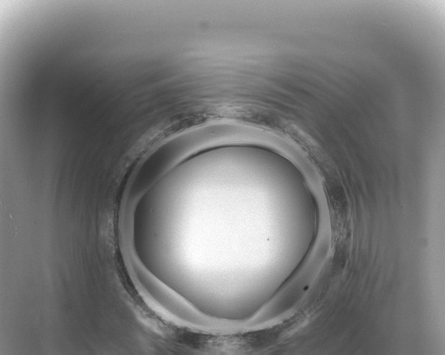 X0000071380444200606301814