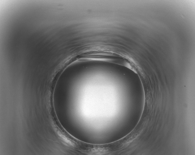 X0000071380445200606301814