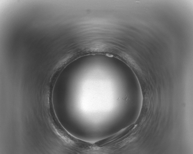 X0000071380446200606301814