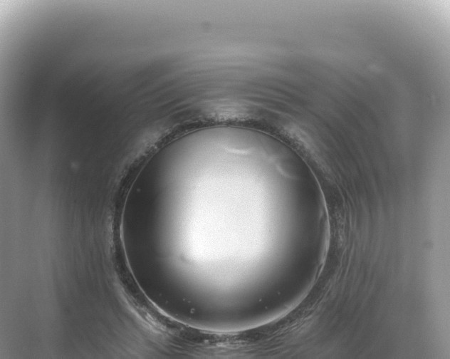 X0000071380447200606301814