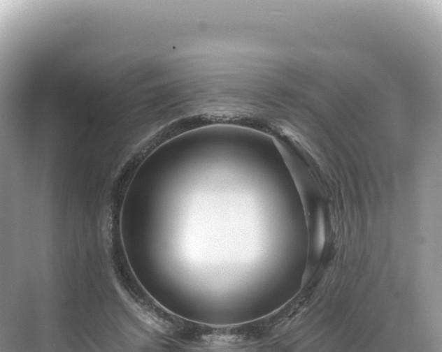 X0000071380448200606301814