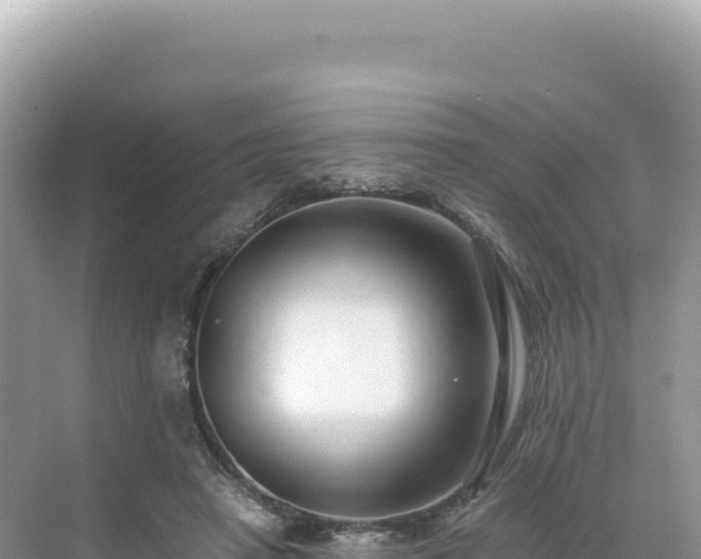 X0000071380450200606301814