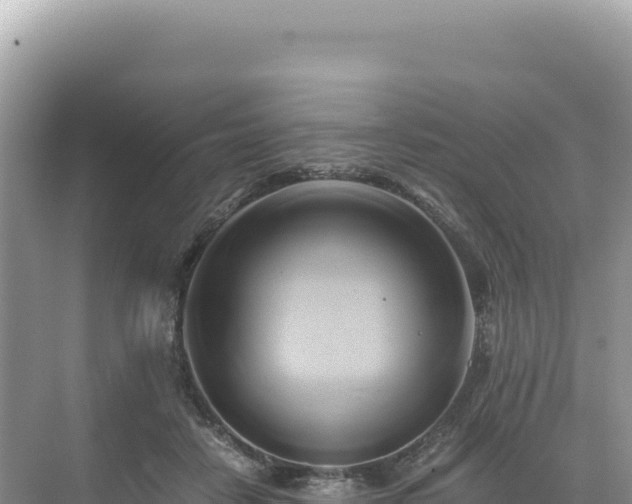 X0000071380458200606301814