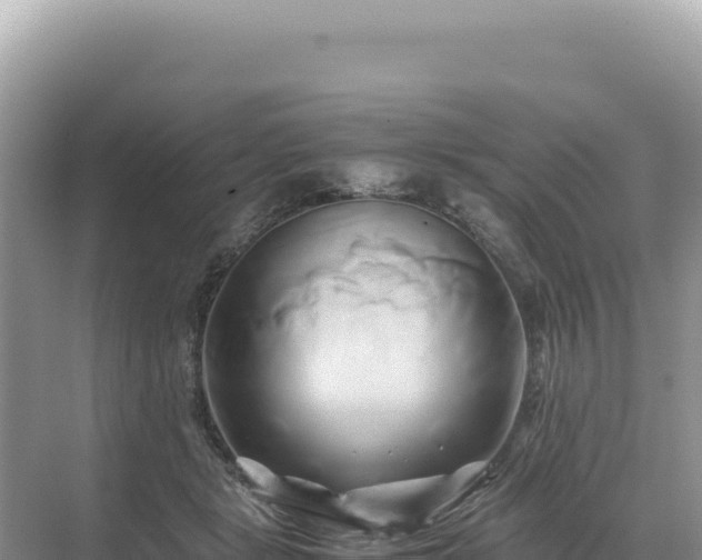 X0000071380461200606301814