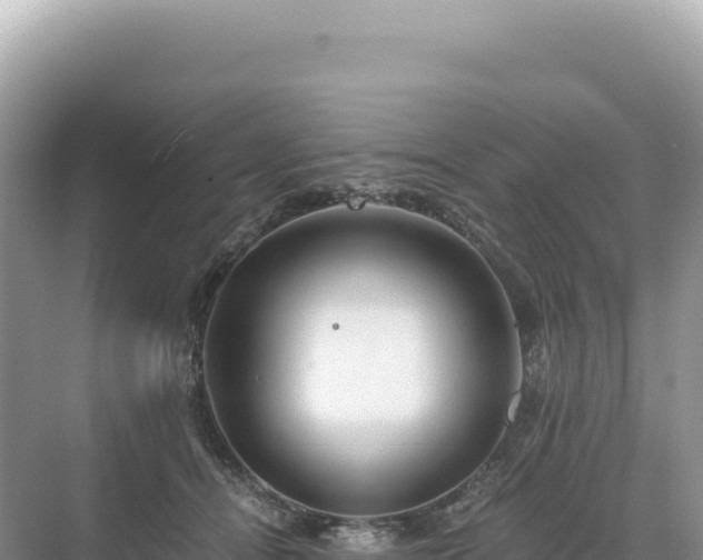 X0000071380464200606301814