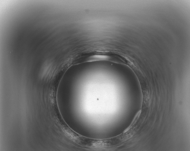 X0000071380470200606301814