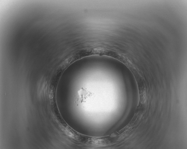 X0000071380472200606301814