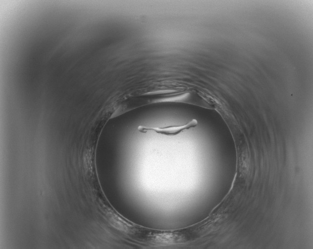 X0000071380473200606301814