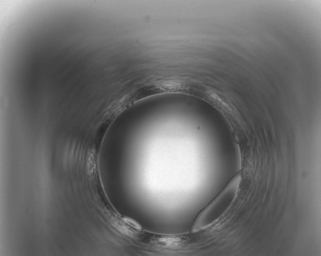 X0000071380478200606301814