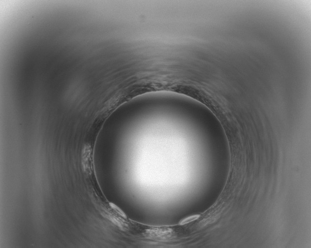 X0000071380480200606301814