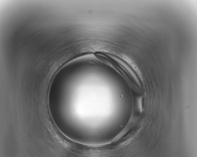 X0000071380481200606301814