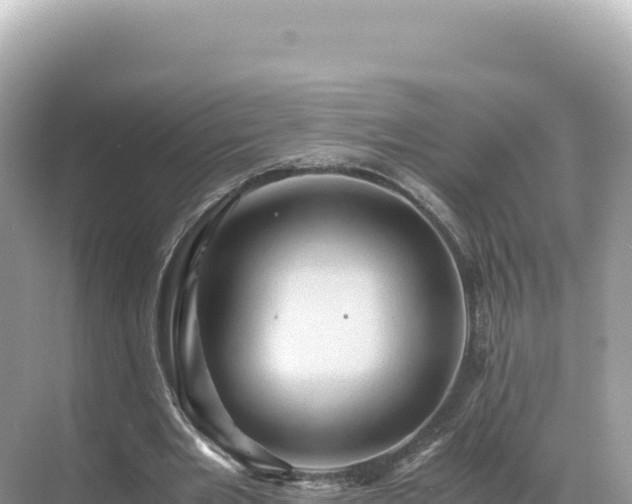 X0000071380485200606301814