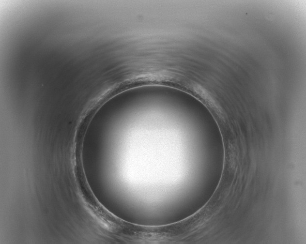 X0000071380486200606301814