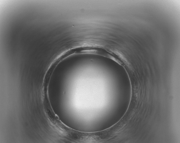 X0000071380488200606301814