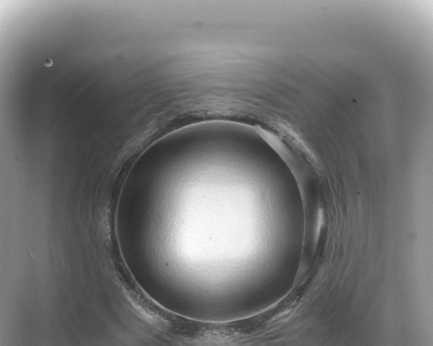 X0000071380489200606301814