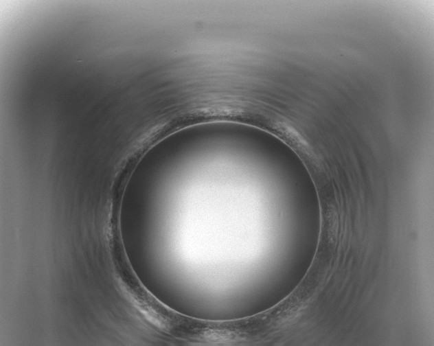 X0000071380490200606301814