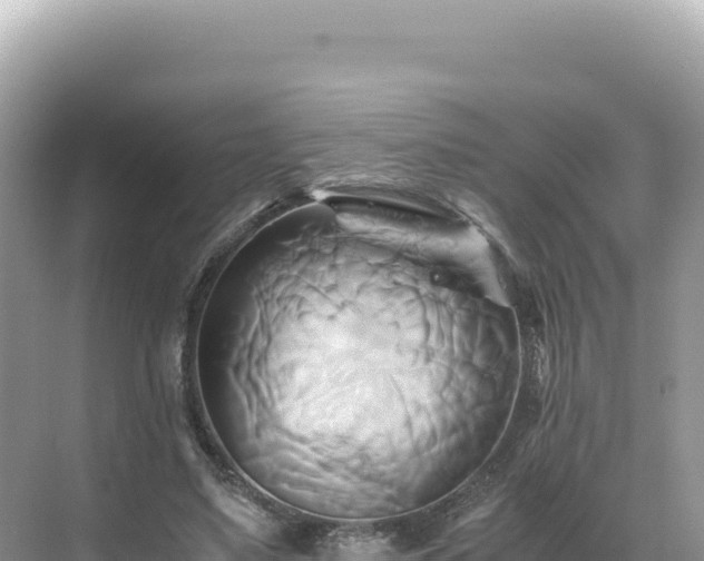 X0000071380491200606301813