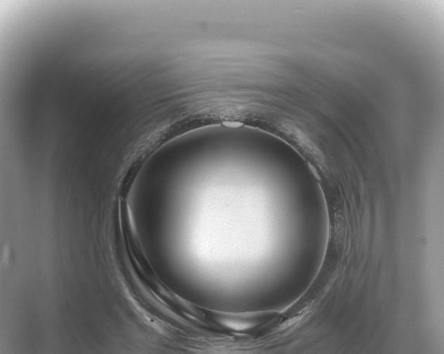 X0000071380493200606301813