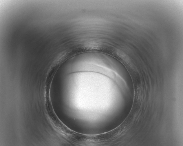 X0000071380494200606301813