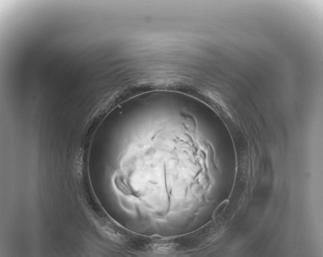 X0000071380495200606301813