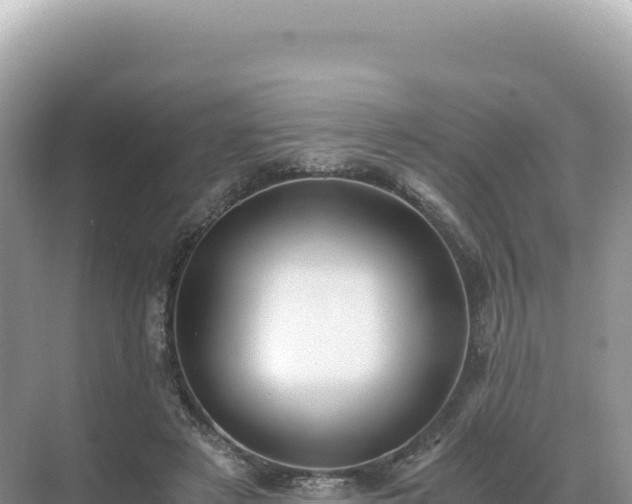 X0000071380497200606301813