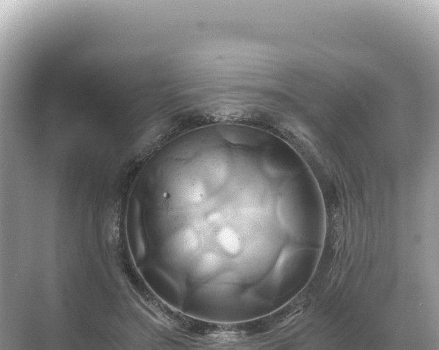 X0000071380499200606301813