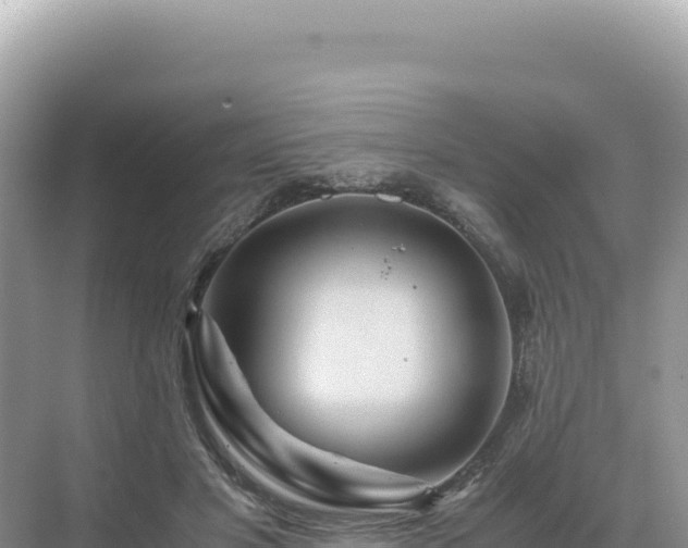 X0000071380501200606301813