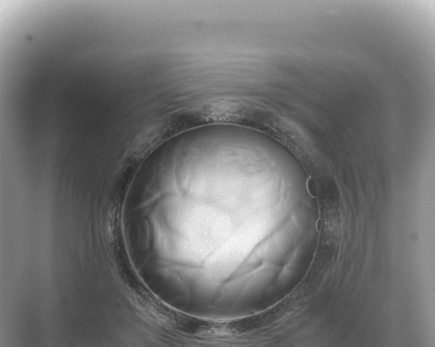 X0000071380503200606301813