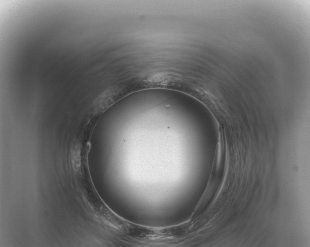 X0000071380504200606301813