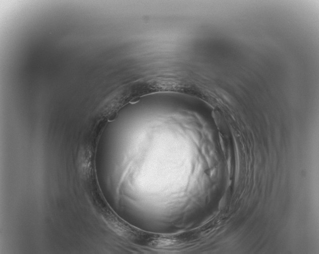 X0000071380507200606301813