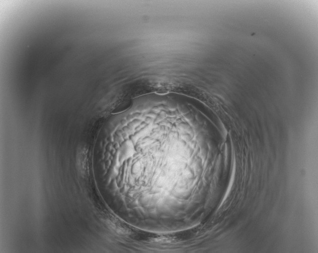 X0000071380511200606301813