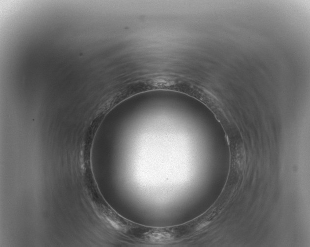 X0000071380512200606301813