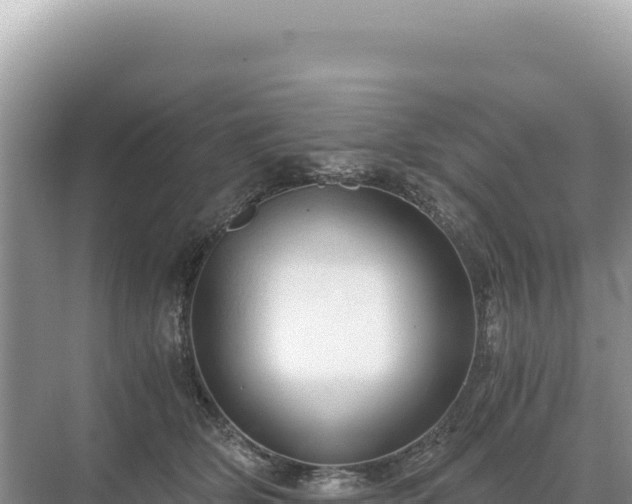 X0000071380514200606301813