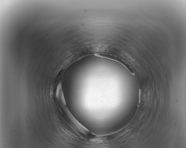 X0000071380516200606301813