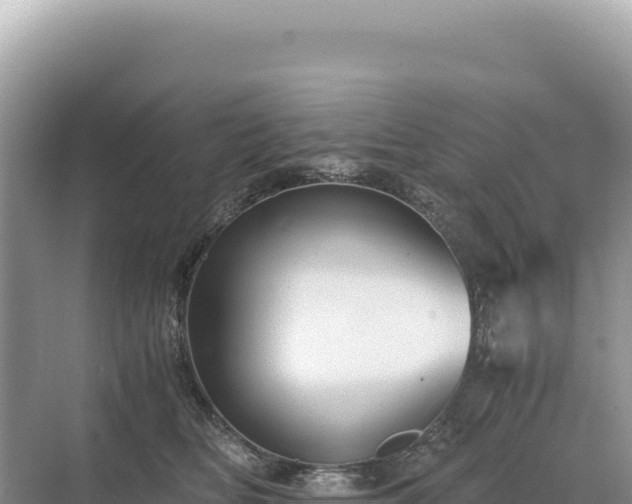 X0000071380518200606301813