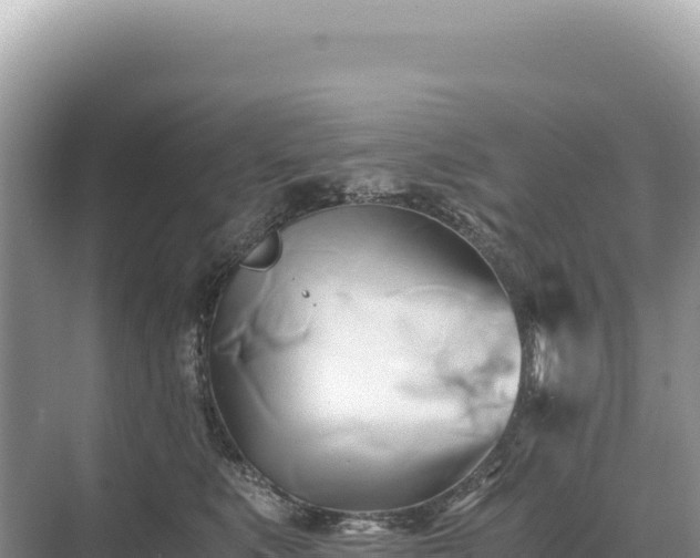 X0000071380519200606301813