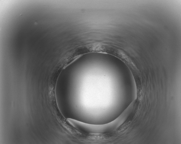 X0000071380521200606301813