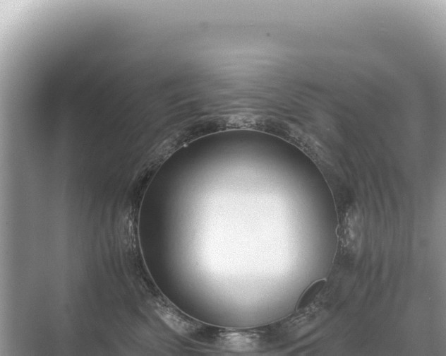 X0000071380522200606301813