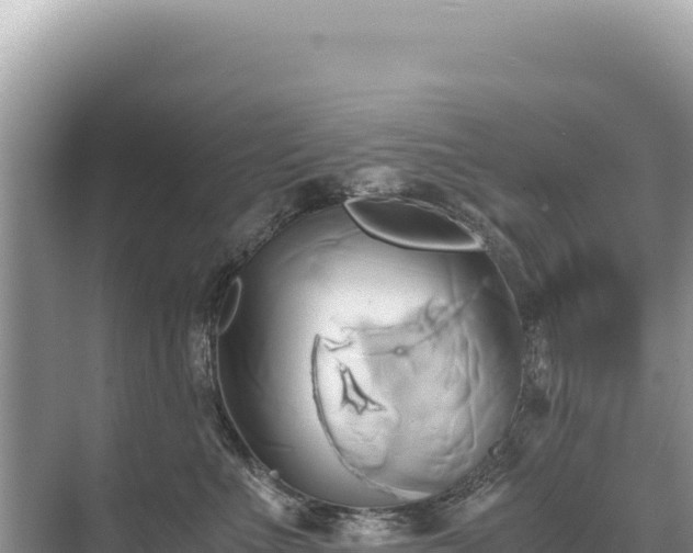 X0000071380523200606301813