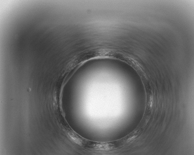 X0000071380524200606301813