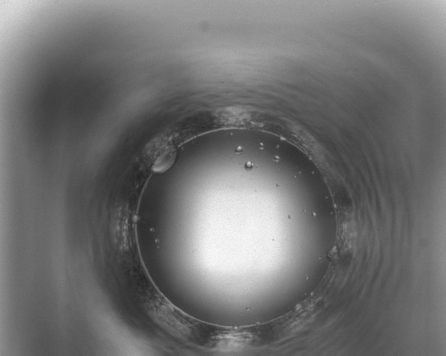 X0000071380525200606301813