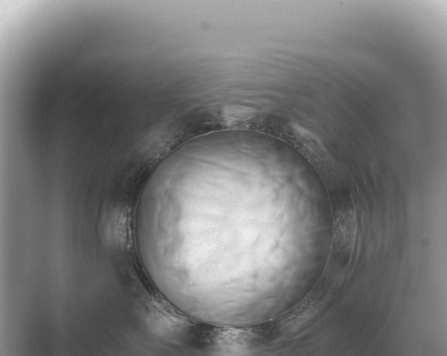 X0000071380527200606301813