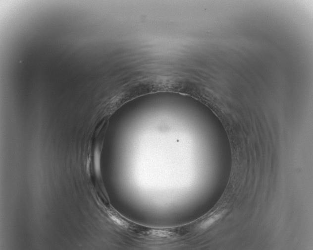 X0000071380528200606301813